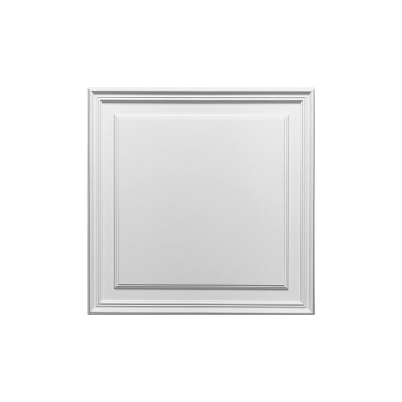 Plain, Square, Tile-Effect Raised Lightweight Wall Panel D503.